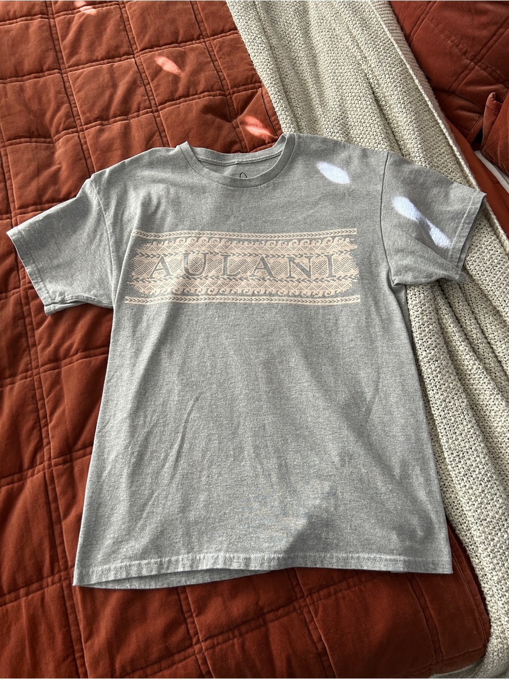 Disney Aulani T Shirt Vintage Gray Hawaiian Graphic Tee Resort Vacation T Shirt